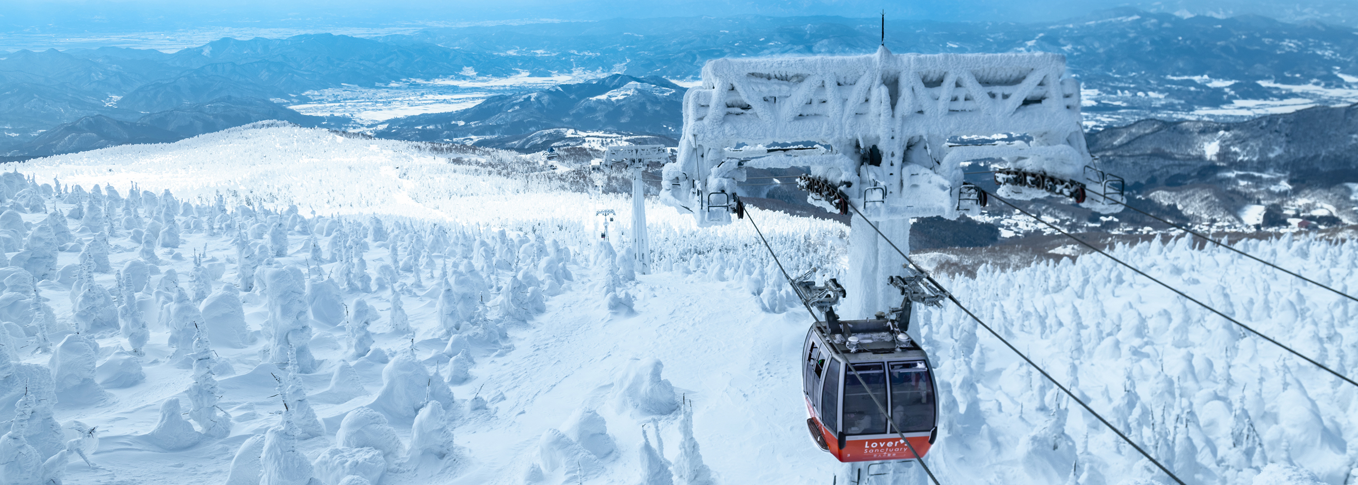 団体さまも、おひとりさまも、旅の思い出作りをお手伝いさせていただきます。