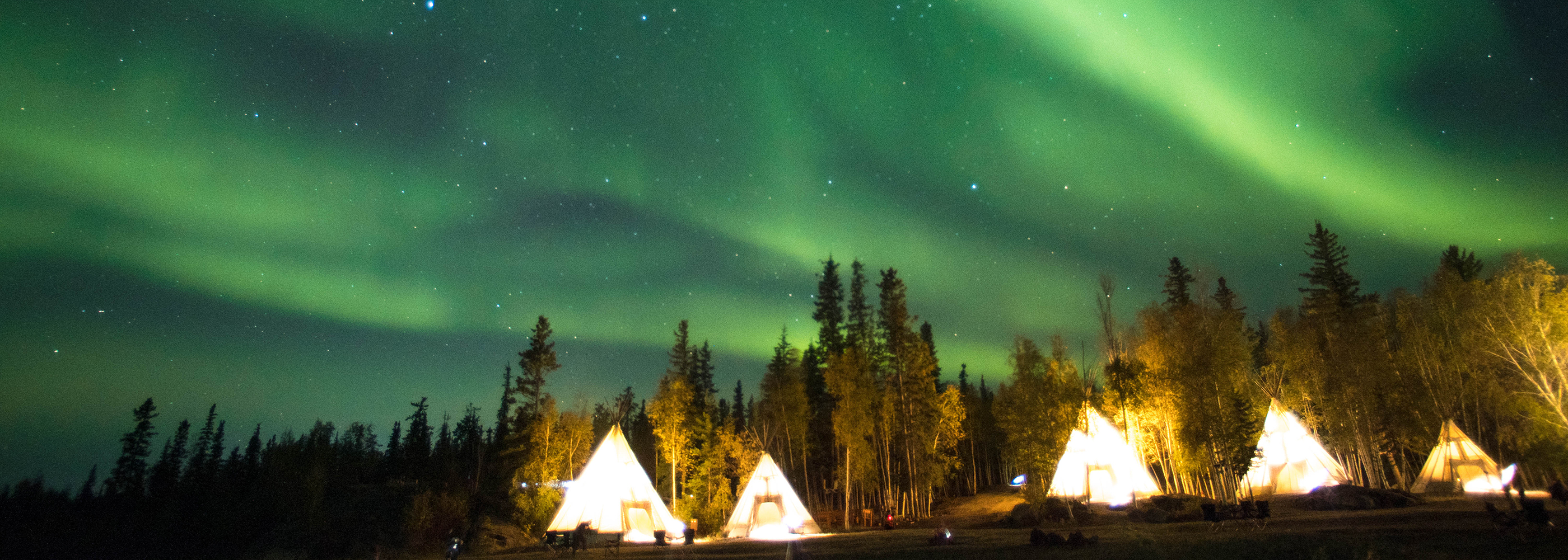 私たち近畿観光株式会社では、各種ツアーを取り扱いしています。